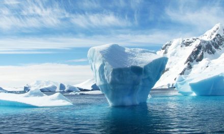 Approach to Digitalisation – The tip or the iceberg ?